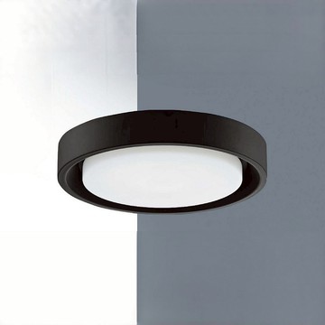 E27白玉玻璃吸頂二燈 B139-29-72943C