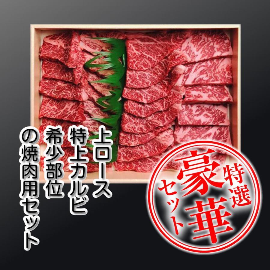 牛肉 焼肉 国産 上ロース 特上カルビ 希少部位の焼肉セット 焼肉 600g 鉄板焼き BQQ バーベキュー 鳥取県産 ギフト