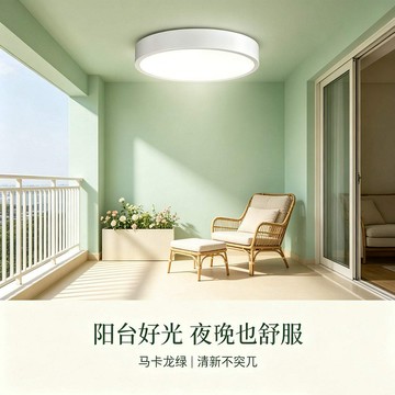 12W 單色吸頂燈 L01-1985B