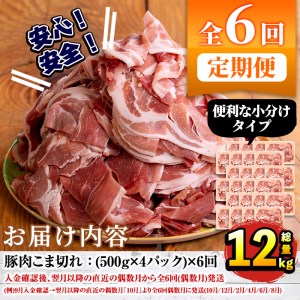 akune-7-13 ＜定期便・全6回(偶数月)＞豚肉こま切れ(500g×4パック×6回・総量12kg)国産 ぶた肉 肉 お肉 豚こま 小分け 個包装 小間切れ 冷凍 定期便7-13