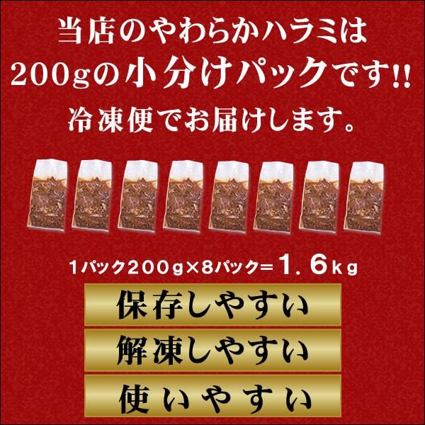 ハラミ 焼肉 肉 牛肉 焼き肉 焼肉セット バーベキュー BBQ やわらか 牛ハラミ 味噌だれ漬け 超メガ盛セット 1.6kg バーベキューセット 食品