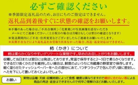 全国でも有名な「綾川町産千疋の柿」訳ありサイズ混合 約7.0kg