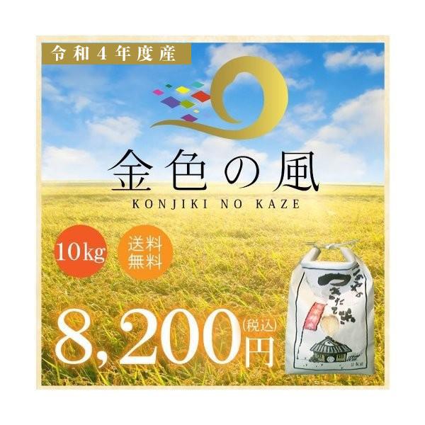 お米 令和４年産 岩手県のフラッグシップ米 岩手県産　金色の風　10kg