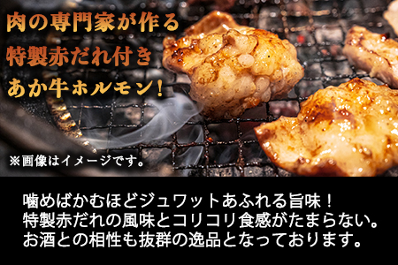 熊本県産 あか牛 焼肉 ホルモン 900g 肉のみやべ《90日以内に順次出荷(土日祝除く)》熊本県産 熊本県 御船町