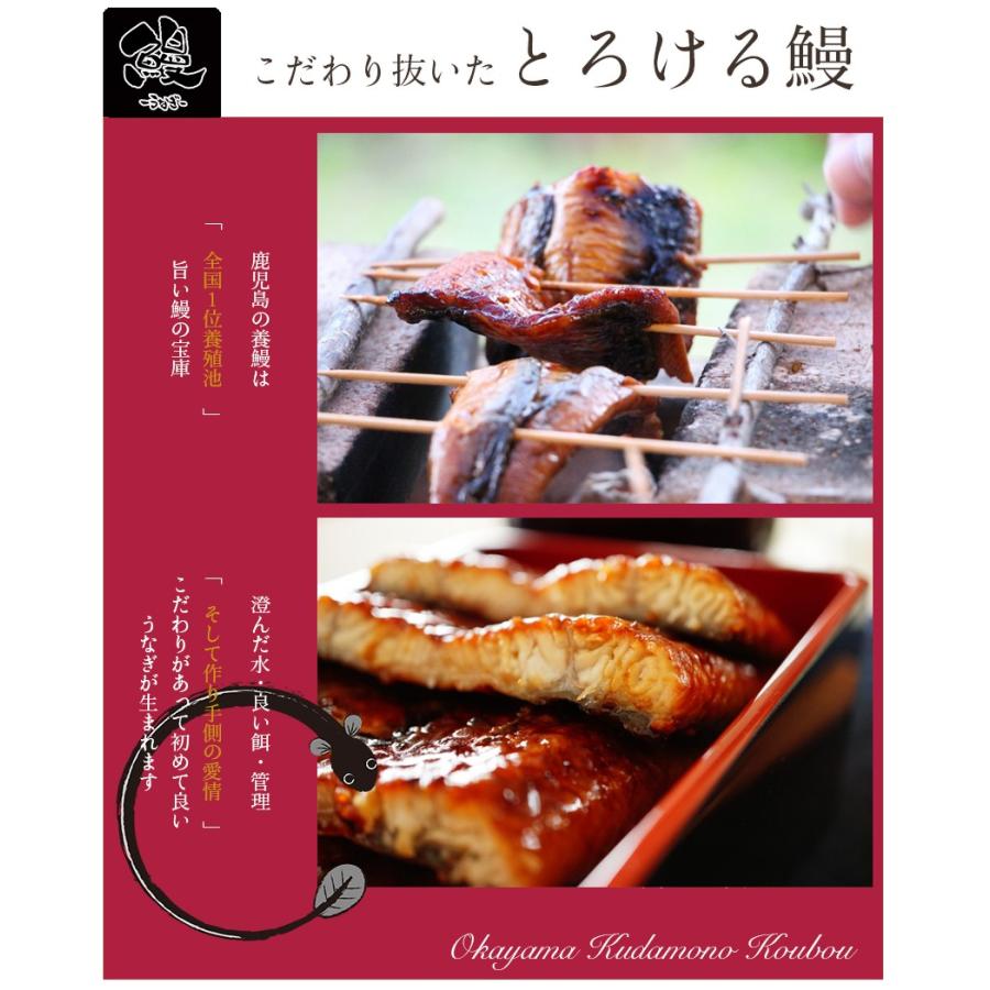 うなぎ蒲焼 御歳暮 ギフト 特大 200g 鹿児島産 鰻