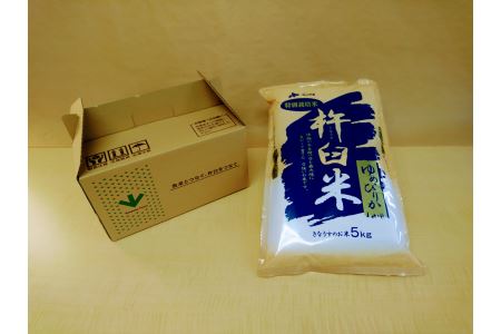 特別栽培「きなうす米」北海道産ゆめぴりか5kg×12回