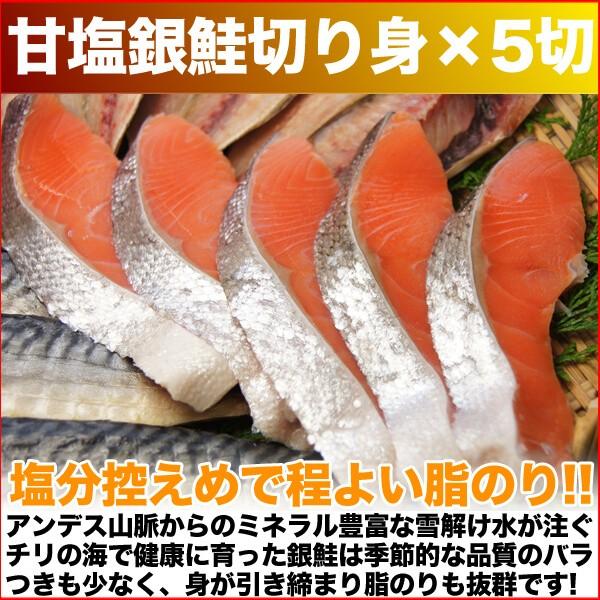 干物 セット 定番 焼き魚 3種セット 送料無料 アジ開き干・ほっけ開き干し・甘塩銀鮭切り身 (海鮮 限定 ギフト）