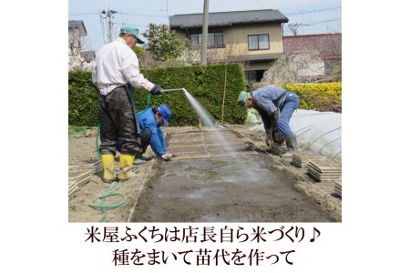 人気沸騰の米 岩手県奥州市産ひとめぼれ 令和5年産 新米 白米 玄米も可 24kg[AC017]