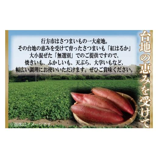 ふるさと納税 茨城県 行方市 CU-55  無選別 行方台地のさつまいも 紅はるか10kg