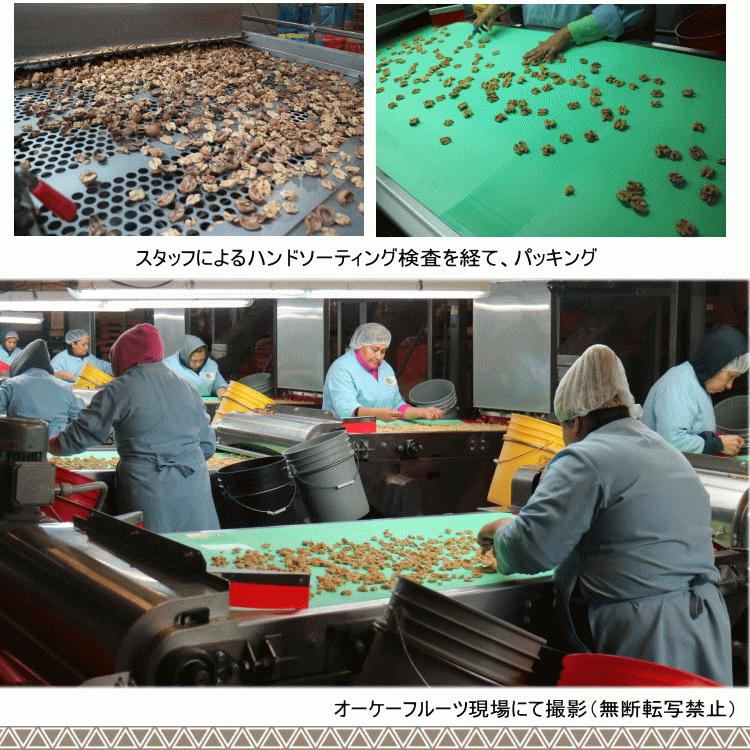 ナッツ くるみ 無塩 無添加 生クルミ 500g 無添加 ナッツ おつまみ おやつ 非常食