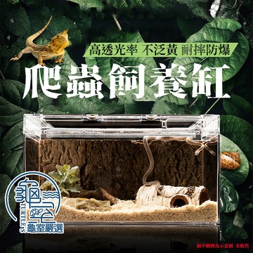 PJ小舖 爬蟲飼養缸 爬蟲飼養 爬蟲箱 爬蟲盒 爬蟲缸 飼養箱 生態箱 烏龜缸 兩棲爬蟲 烏龜 角蛙 守宮 昆蟲 蜘蛛