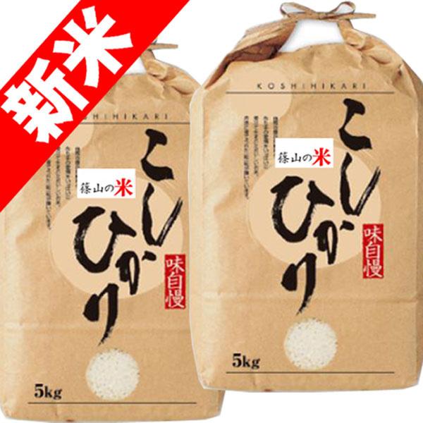 新米 令和5年産 お米 10kg (5kg×2袋)  篠山コシヒカリ 兵庫県 丹波篠山産 玄米 白米 7分づき 5分づき 3分づき 出荷日精米 送料無料