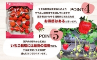 ＜訳あり・大粒＞小豆島産　変形果いちご　1.4kg