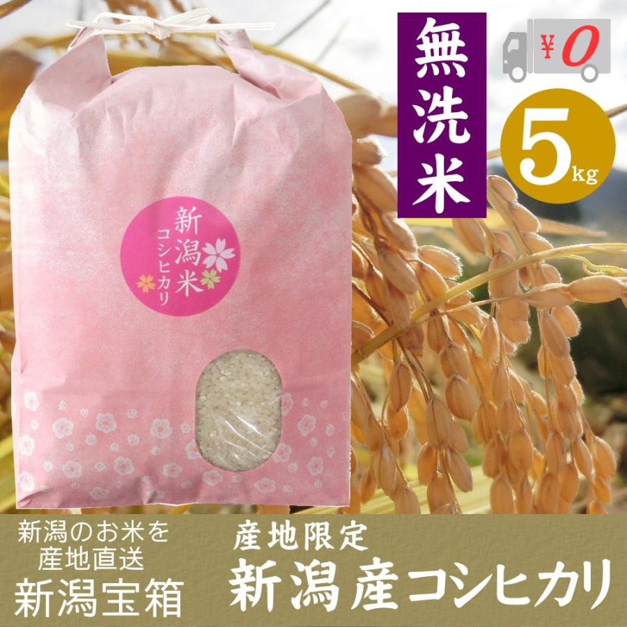 希少米 棚田米 新潟県産 コシヒカリ 無洗米 5kg 新米 米 お米 産地限定 送料無料