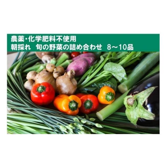 ふるさと納税 高知県 高知市 土佐の太陽をいっぱいに浴びた旬の野菜セット「小」