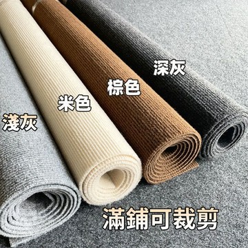 【附發票】🌈 地毯地墊 客廳地毯 沙發地毯 客廳茶几毯 卧室 家用地墊 床邊毯 毛地毯 地毯 地墊 刮泥可裁剪地毯 墊子