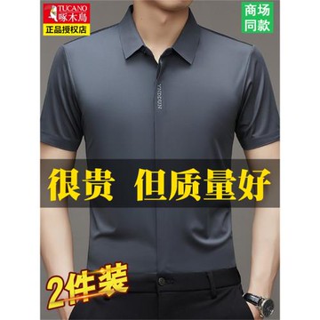 啄木鳥夏季男士短袖襯衫薄款無痕半袖高檔休閑彈力抗皺冰絲襯衣男