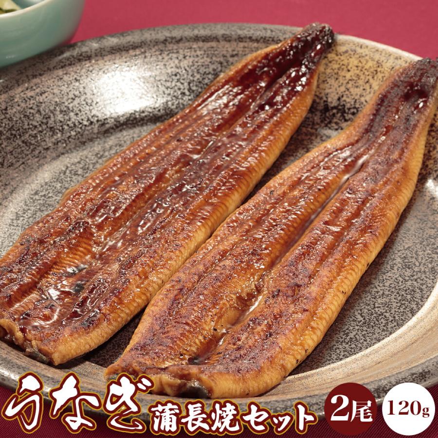 国産うなぎ蒲長焼セット 2尾セット 丑の日 うなぎ 土用の丑の日 うなぎセット 父の日 ギフト プレゼント 贈呈用 敬老の日 贈答 お祝 冷凍 鰻 ウナギ 鰻丼 蒲焼