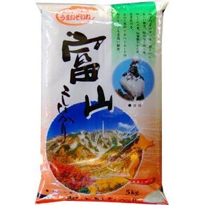 新米 5kg 富山県産 コシヒカリ 米 令和5年産 内のし対応 贈り物