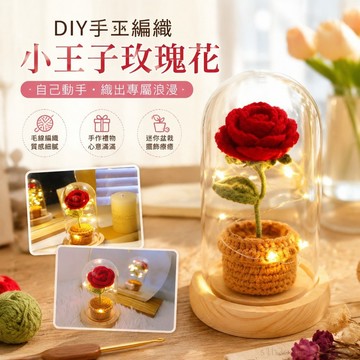 手工diy 手工禮物小王子玫瑰花手工編織diy花束毛線鉤針材料迷你盆栽情侶禮物情侶禮物 花束 材料包diy 花束材料