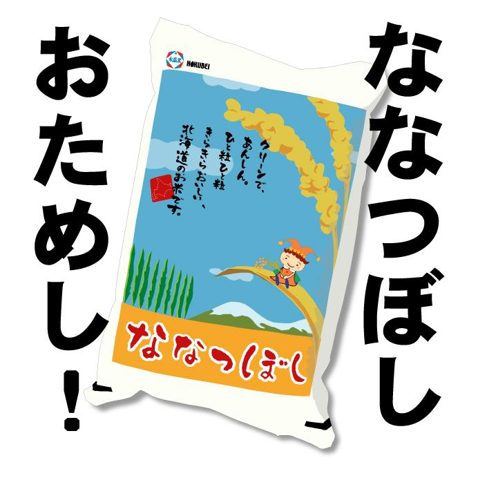 令和5年産　北海道産 ななつぼしお試しパック　メール便　送料無料　北海道米 　450g (3合)　ポイント消化　ポイント消費