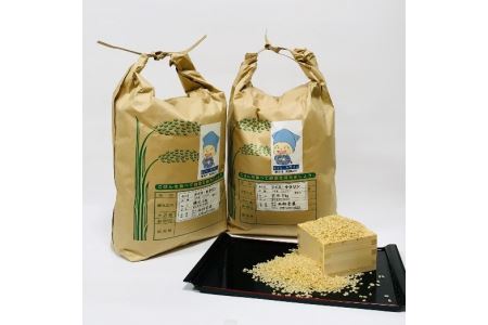 ほたるいか米（玄米５kg）