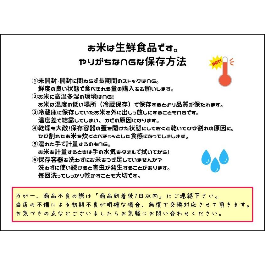 米 お米 10kg   新米 コシヒカリ 白米10kg 5kgx2袋 福島県産 令和5年