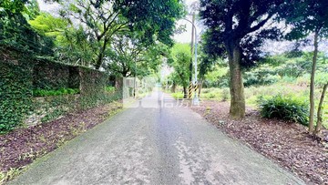 龍潭小人國渴望園區旁❤️投資置產美農地❤️｜桃園市龍潭區中原段