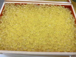 黄金いくらしょうゆ漬け 100ｇ  食べ物 グルメ 糸魚川 糸魚川産 傳兵商品 傳兵 伝兵水産 伝平 でんべい いくら イクラ 醤油漬け 醤油 し