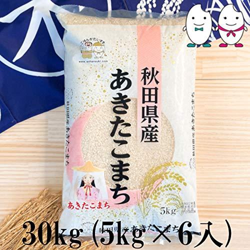 お米 秋田県産あきたこまち 30kg（5kg×6） 令和5年産