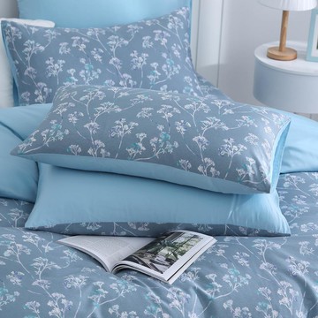 枕套2入/美國棉授權品牌 300織/ 汀絲娜 [鴻宇] 台灣製 - 2361