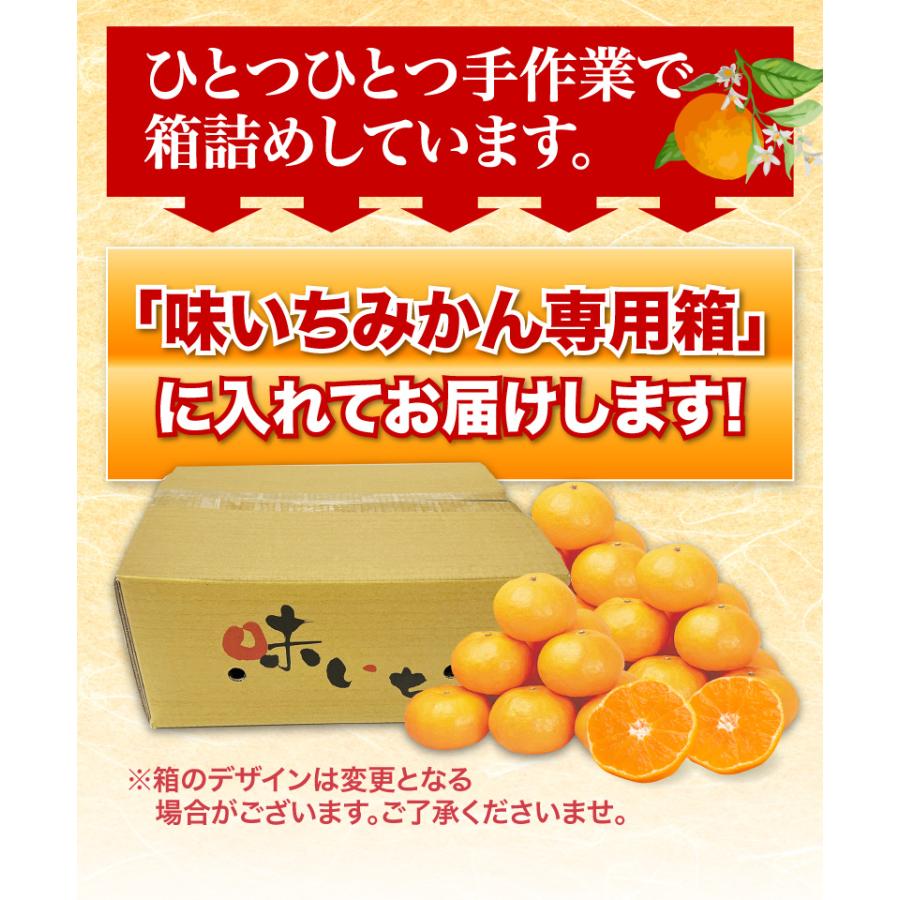 みかん 熊本県産 早生 秀品みかん 12月出荷 予約 味いち小玉みかん 5kg 2S 3Sサイズ 糖度12度以上 熊本産 産地直送 送料無料 S常