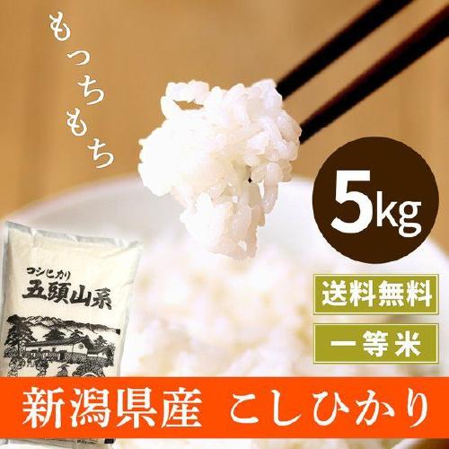 新米 令和5年 米 5kg コシヒカリ 新潟 送料無料 五頭山系 あすつく お米 5キロ 新潟県産 こしひかり 美味しいお米 昔ながらのもちもち