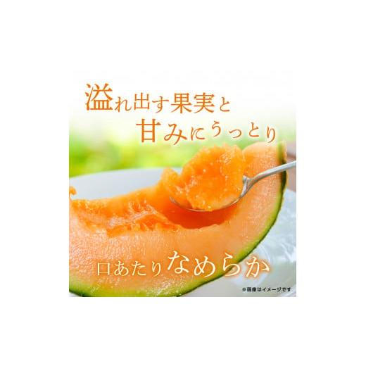 ふるさと納税 茨城県 鉾田市 完熟収穫ならではの旨味「ほこたメロン／赤肉」1箱（2個入）