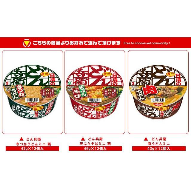 日清食品 日清のどん兵衛ミニ 選べる2ケースセット 24(12×2)個入｜ 送料無料