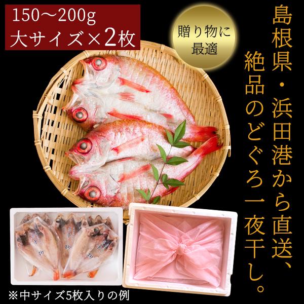 お歳暮 ギフト 無添加 のどぐろ干物 150〜200g（大サイズ）×2枚入 送料無料（北海道・沖縄を除く）