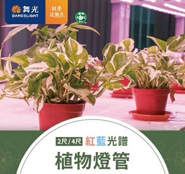 舞光 LED T8 紅藍光譜植物燈管 室內用 4尺 18W 非照明用 現貨免運聊聊享優惠 實體店  好商量~【APP滿額下單4%點數(單一帳號最高1000點)】7/31 止
