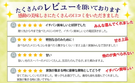 クラウンメロン 並 白等級 中玉 1.3kg前後 1玉入り