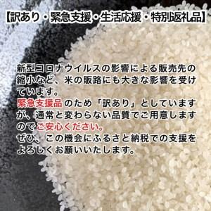 ふるさと納税 訳あり京都丹波産 きぬひかり 10kg(5kg×2)×3ヶ月 計30kg ※米食味鑑定士厳選 ※精米したてをお届け【京都.. 京都府亀岡市