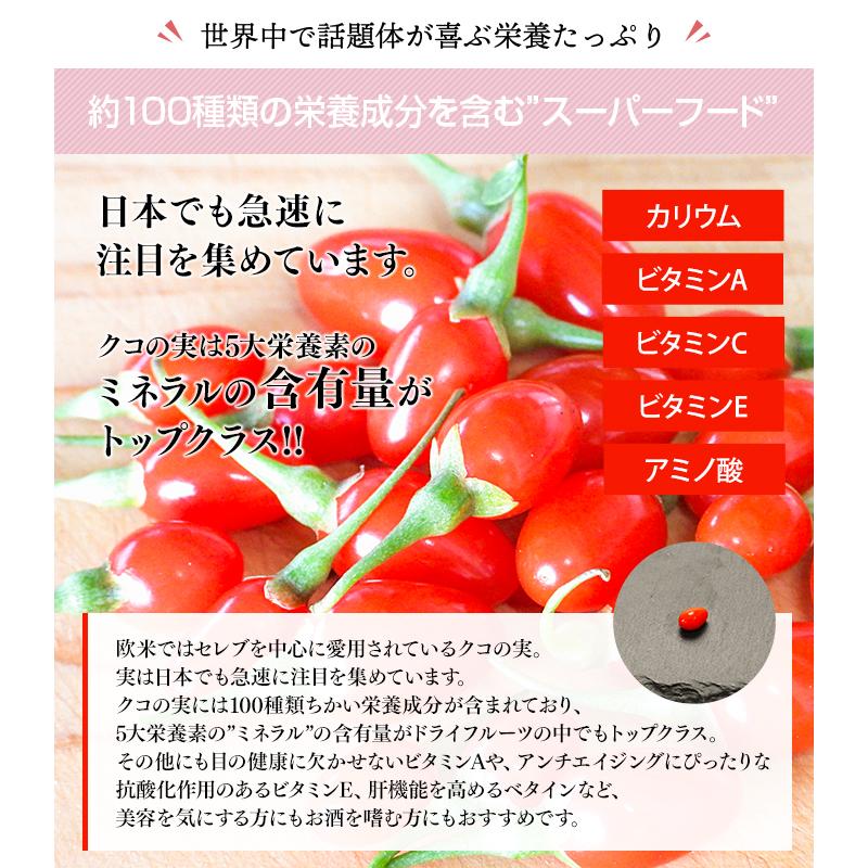 国産クコの実 100g と ブルーベリー800g 冷凍フルーツセット 国産 クコ  ベリー 冷凍果実 フルーツ 果物 くだもの 送料無料