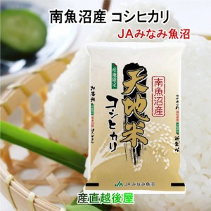 令和５年産 新米 コシヒカリ 魚沼産 玄米 新潟県 南魚沼 JAみなみ魚沼農協 特Ａ地区 コシヒカリ 天地米 30kg玄米 送料無料