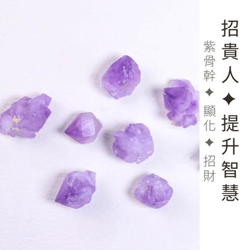 紫骨幹水晶 |水晶長老 貴人 智慧 穩定心情 顯化 招財 脈輪療癒 專屬配對✦中 已鑑定 G22CP03003-8