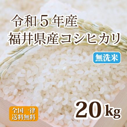 令和５年産 無洗米福井県産コシヒカリ 20kg 白米 安い ５kg×４ 単一原料米 送料無料