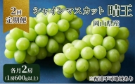 ぶどう 定期便 2024年 先行予約 シャイン マスカット 晴王 各月2房（1房600g以上） 2回コース マスカット ブドウ 葡萄  岡山県産 国産 フルーツ 果物 ギフト [№5220-1401]