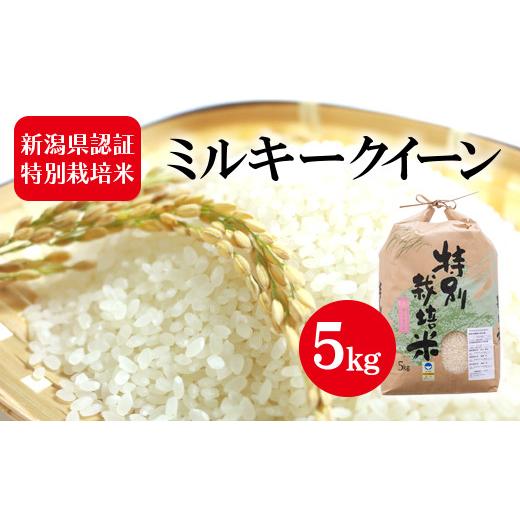 ふるさと納税 新潟県 新潟市 令和５年産 新潟県認証特別栽培米 ミルキークイーン 5kg