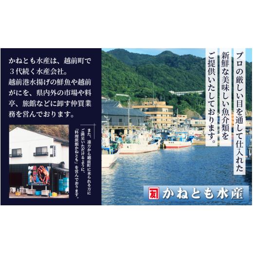 ふるさと納税 福井県 越前町 [e14-x003_03] 浜茹で 紅ずわいがに 2杯  大判干物「赤かれい・あじ」セット【越前産 紅ズワイガニ カニ かに 蟹 …