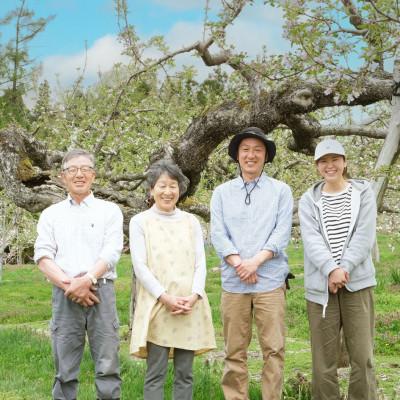 ふるさと納税 遠野市 松陽園の樹上完熟りんご シナノゴールド 5kg