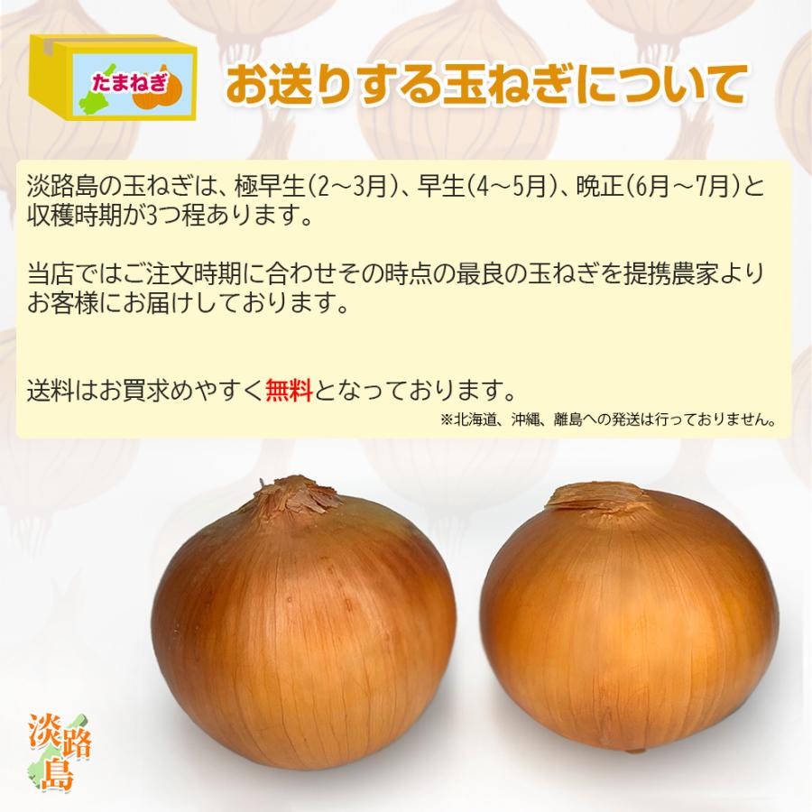 最高品質 淡路島産 玉ねぎ 2Lサイズ 10kg [割引ショップスタンプ付]