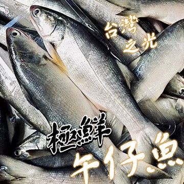 【帥哥魚海鮮】台灣鮮嫩午仔魚4尾組(單尾殺清前500g)