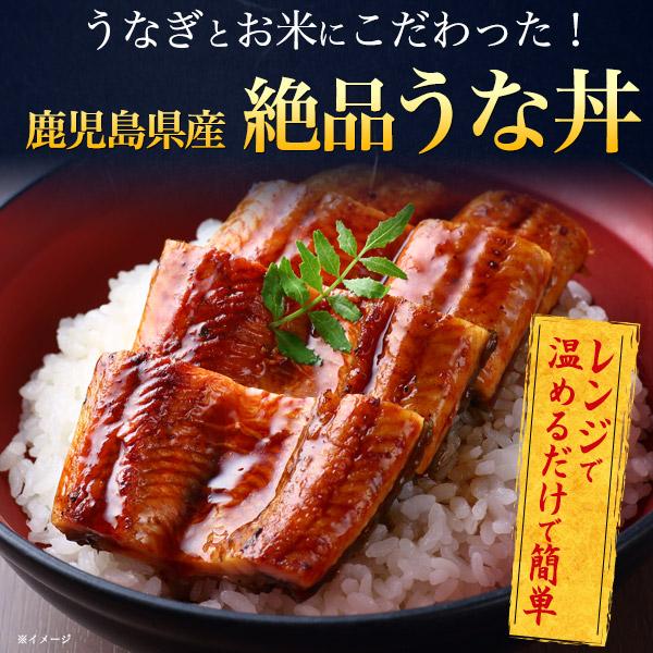 鹿児島県産 鰻 うな丼 2食セット  (250g×2パック) タレ付き レンチン お惣菜 国産 うな重 丼ぶり 丼もの 日本産 お取り寄せ グルメ 熨斗対応可 冷凍便配送